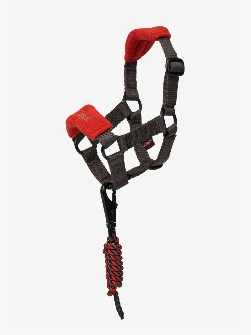 LeMieux Mini Toy Pony Headcollar in Sienna